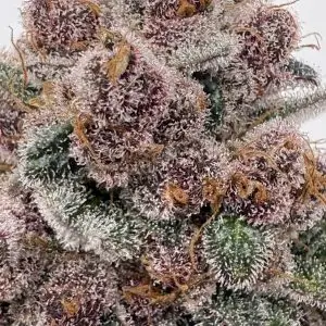 Grape Gumdrop